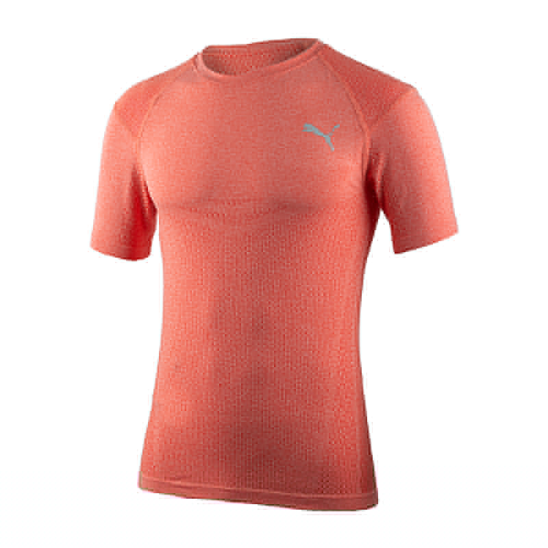 Футболка Puma TRAIN EVOKNIT SS TEE