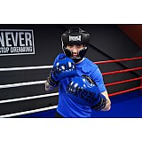 Боксерські рукавиці PowerPlay 3017 Сині карбон 12 унцій фото товара