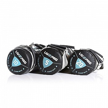 Мешок для кроссфита LivePro POWER BAG черный/серый 15 кг
