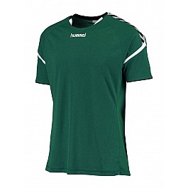 Футболка Hummel AUTH. CHARGE SS POLY JERSEY зеленая