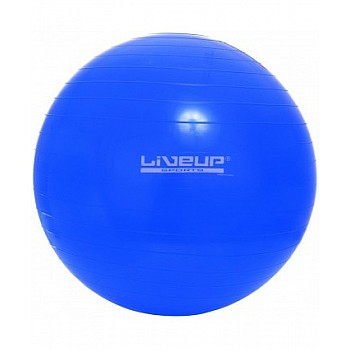 Фитбол LiveUp GYM BALL LS3221-65