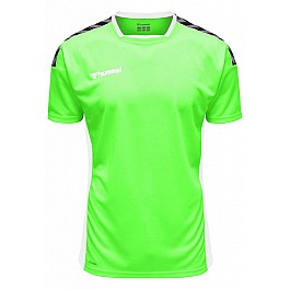 Футболка AUTHENTIC POLY JERSEY S/S 204-919-6750-S Взрослые Мужской САЛАТОВЫЙ