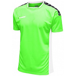 Футболка AUTHENTIC POLY JERSEY S/S 204-919-6750-S Взрослые Мужской САЛАТОВЫЙ