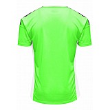 Футболка AUTHENTIC POLY JERSEY S/S 204-919-6750-S Взрослые Мужской САЛАТОВЫЙ