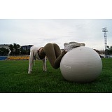 Мяч для фитнеса и гимнастики Power System PS-4012 65 cm Grey