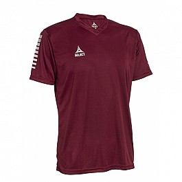 Футболка SELECT Pisa player shirt s/s (011) бордо, L