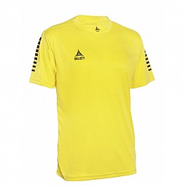 Футболка SELECT Pisa player shirt s/s (029) жовто/чорний, L