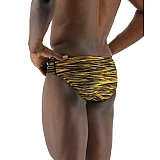 Чоловічі плавки TYR Men's Fizzy Racer, Black/Gold, 28, Black/Gold