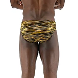 Чоловічі плавки TYR Men's Fizzy Racer, Black/Gold, 28, Black/Gold