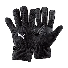 Рукавиці воротарські Puma Football Winter Field