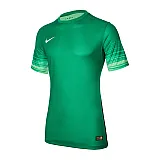 Футболка Nike CLUB GEN LS GK P JSY Чоловіки р.XL Зелений