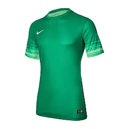 Футболка Nike CLUB GEN LS GK P JSY Чоловіки р.XL Зелений