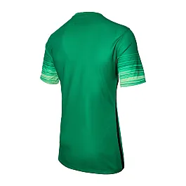 Футболка Nike CLUB GEN LS GK P JSY Чоловіки р.XL Зелений