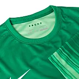 Футболка Nike CLUB GEN LS GK P JSY Чоловіки р.XL Зелений