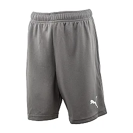 Шорти Puma teamRISE Short Jr