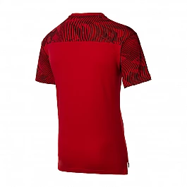 Футболка Puma AC Milan Casuals Men's Tee Чоловіки р.S Чорний/Червоний