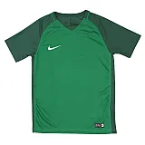 Футболка Nike Y NK DRY TROPHY III JSY SS Унісекс дитячий (8-15) р.M Зелений