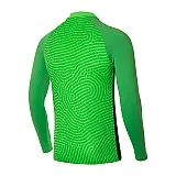 Футболка Nike Jersey Gardien III Long Sleeve Чоловіки р.XL Салатовий
