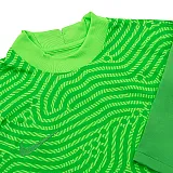 Футболка Nike Jersey GARDIEN III shortsleeve Чоловіки р.M Зелений