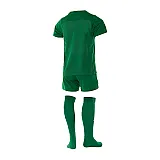 Костюм Nike LK NK DRY PARK20 KIT SET K Унісекс дитячий (3-8) р.S Зелений