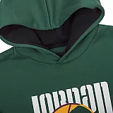 Кофта Jordan M J SPRT DNA HBR FLC PO Чоловіча р.S