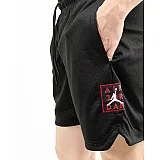 Шорти Jordan M J AJ5 MESH GFX SHORT Чоловіки р.L