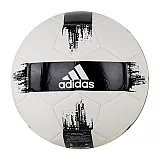 М'яч Adidas EPP II Чоловіча р.4