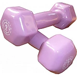 Гантели для фитнеса и аэробики обрезиненные Power System 2 kg PS-4025 Purple (1 шт) фото товара
