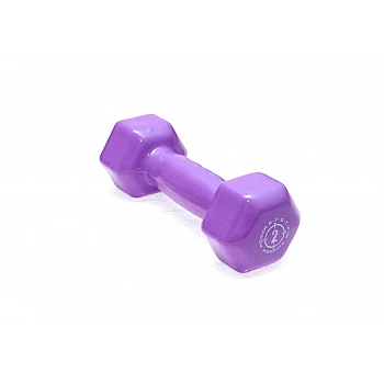 Гантели для фитнеса и аэробики обрезиненные Power System 2 kg PS-4025 Purple (1 шт)