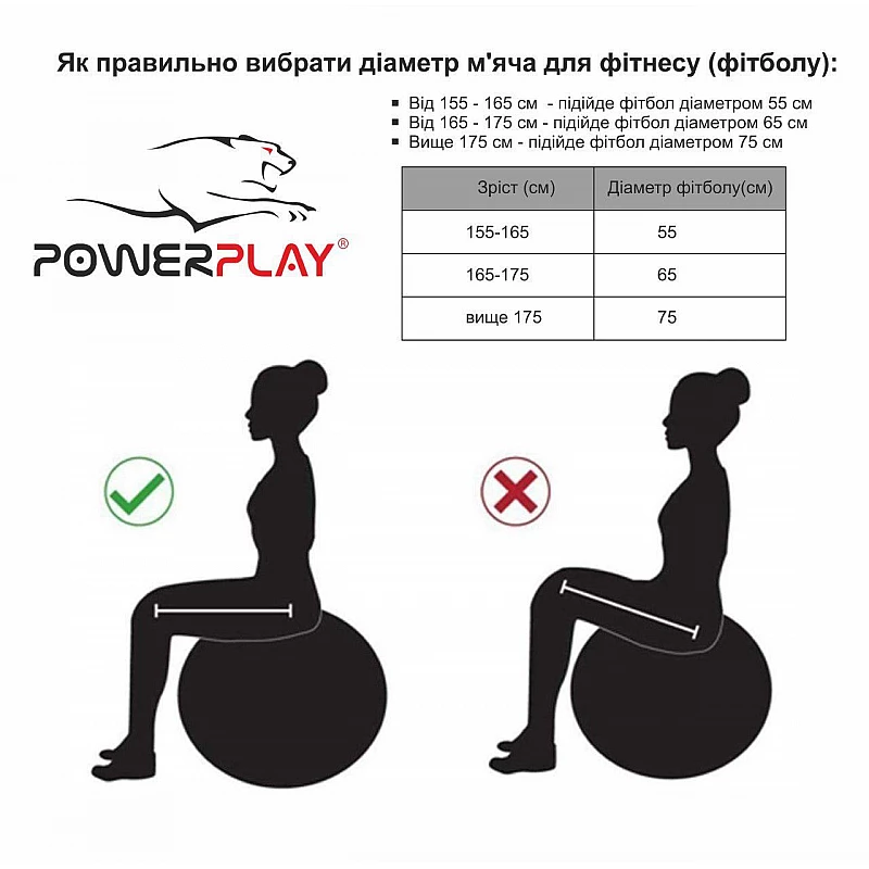 Мяч для фітнеса PowerPlay 4003 75см Темно сірий фото товара