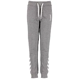 Штаны KIDS KESS PANTS NOOS серые