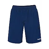 Шорти TECH MOVE TRAINING SHORTS 200-025-8744-L Дорослі Чоловіча СИНІЙ