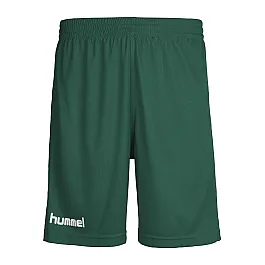 Шорты детские Hummel CORE POLY SHORTS 111-083-6140-164-176 зеленые