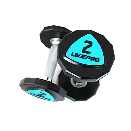 Уретанові 12-гранні гантелі LivePro URETHANE DUMBBELL LP8003-2