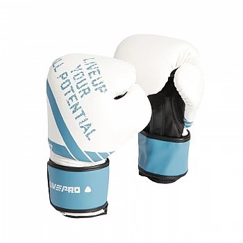 Боксерські перчатки LivePro SPARRING GLOVES-12OZ