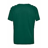 Футболка Hummel CORE TEAM JERSEY S / S зеленая фото товара