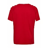 Футболка CORE TEAM JERSEY S / S 203-436-3062-L Дорослі Чоловіча ЧЕРВОНИЙ