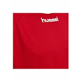 Футболка CORE TEAM JERSEY S / S 203-436-3062-L Дорослі Чоловіча ЧЕРВОНИЙ
