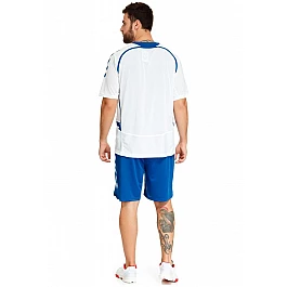 Футболка Hummel TEAM PLAYER MATCH JERSEY бело-синяя