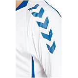 Футболка Hummel TEAM PLAYER MATCH JERSEY бело-синяя фото товара