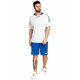 Футболка Hummel TEAM PLAYER MATCH JERSEY бело-синяя фото товара