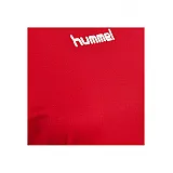 Футболка CORE TEAM JERSEY WOMAN S / S 203-438-3062-S Дорослі Жіноча ЧЕРВОНИЙ