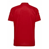 Футболка-поло CORE FUNCTIONAL POLO 203-447-3062-L Дорослі Чоловіча ЧЕРВОНИЙ