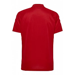 Футболка-поло CORE FUNCTIONAL POLO 203-447-3062-L Дорослі Чоловіча ЧЕРВОНИЙ