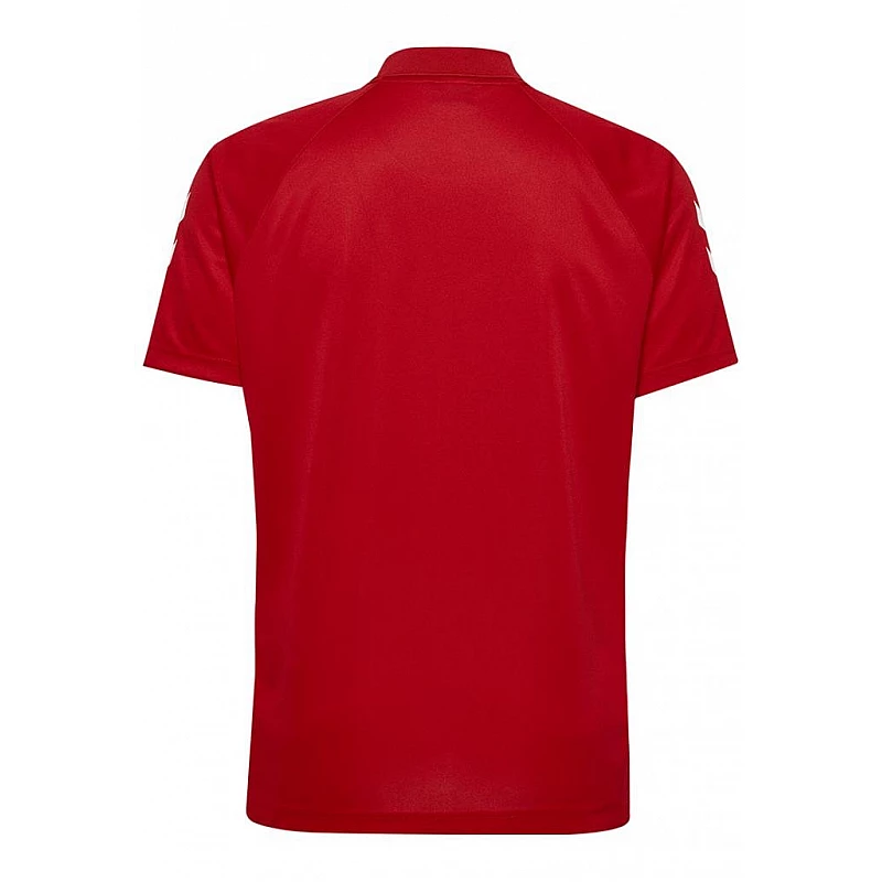 Футболка-поло CORE FUNCTIONAL POLO 203-447-3062-L Дорослі Чоловіча ЧЕРВОНИЙ