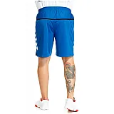 Шорти TEAM PLAYER POLY SHORTS 110-749-7045-L Дорослі Чоловіча СИНІЙ