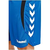 Шорти TEAM PLAYER POLY SHORTS 110-749-7045-L Дорослі Чоловіча СИНІЙ