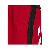 Шорты Hummel TEAM PLAYER POLY SHORTS красные фото товара