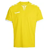 Футболка CORE SS POLY JERSEY 003-636-5001-XXL Дорослі Чоловіча ЖОВТИЙ
