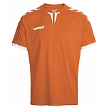 Футболка Hummel CORE SS POLY JERSEY оранжевая фото товара